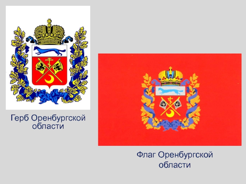 День герба и флага Оренбургской области.